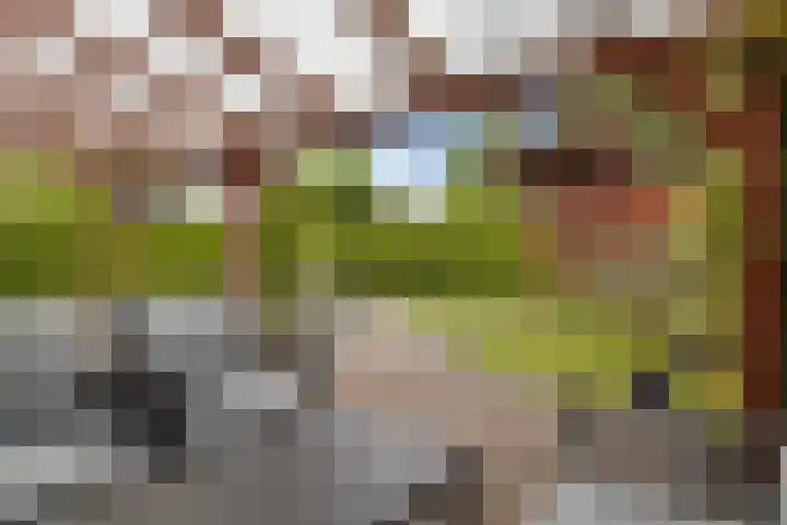 Geerstuk 13 Delfzijl thumbnail 51