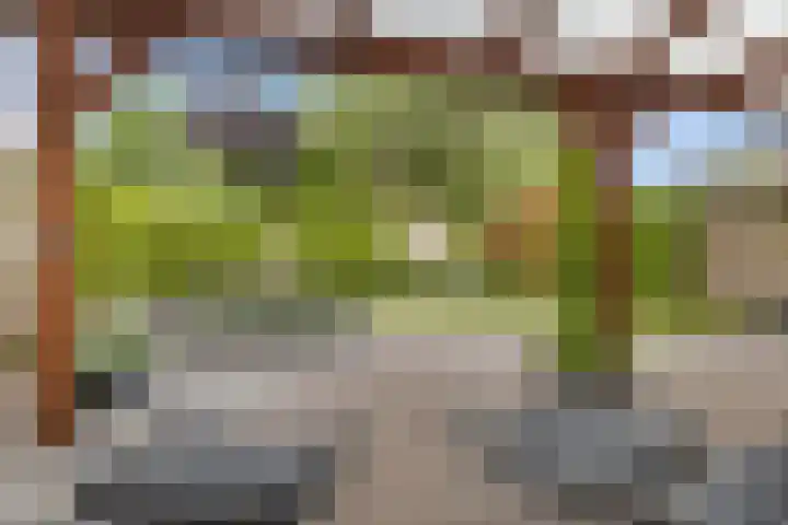 Geerstuk 13 Delfzijl thumbnail 52