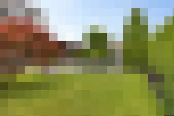 Geerstuk 13 Delfzijl thumbnail 53