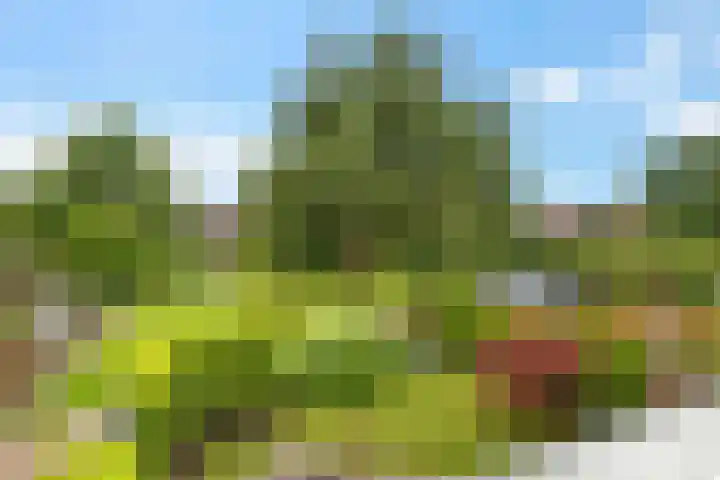 Geerstuk 13 Delfzijl thumbnail 54