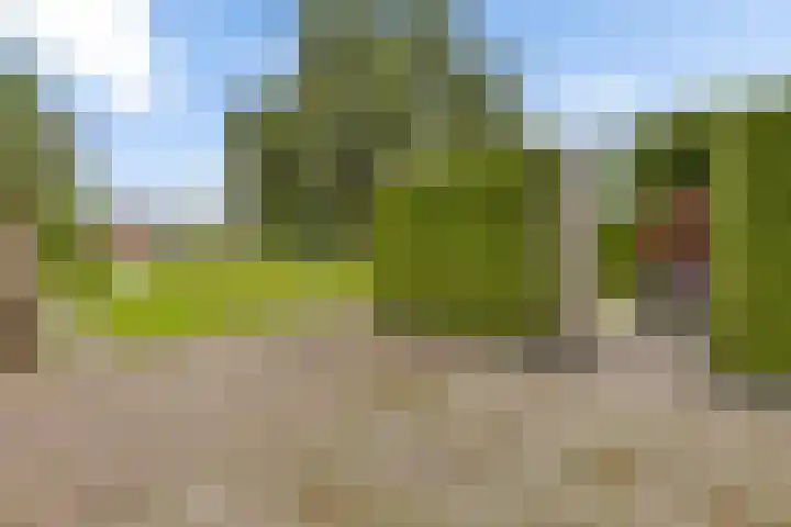 Geerstuk 13 Delfzijl thumbnail 55