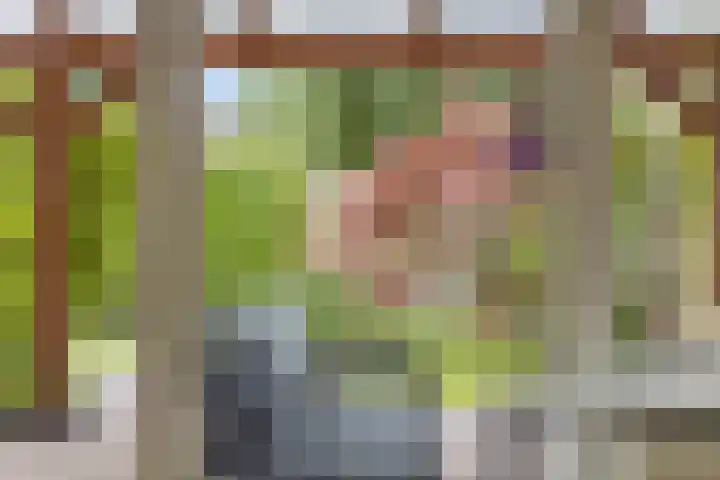 Geerstuk 13 Delfzijl thumbnail 7