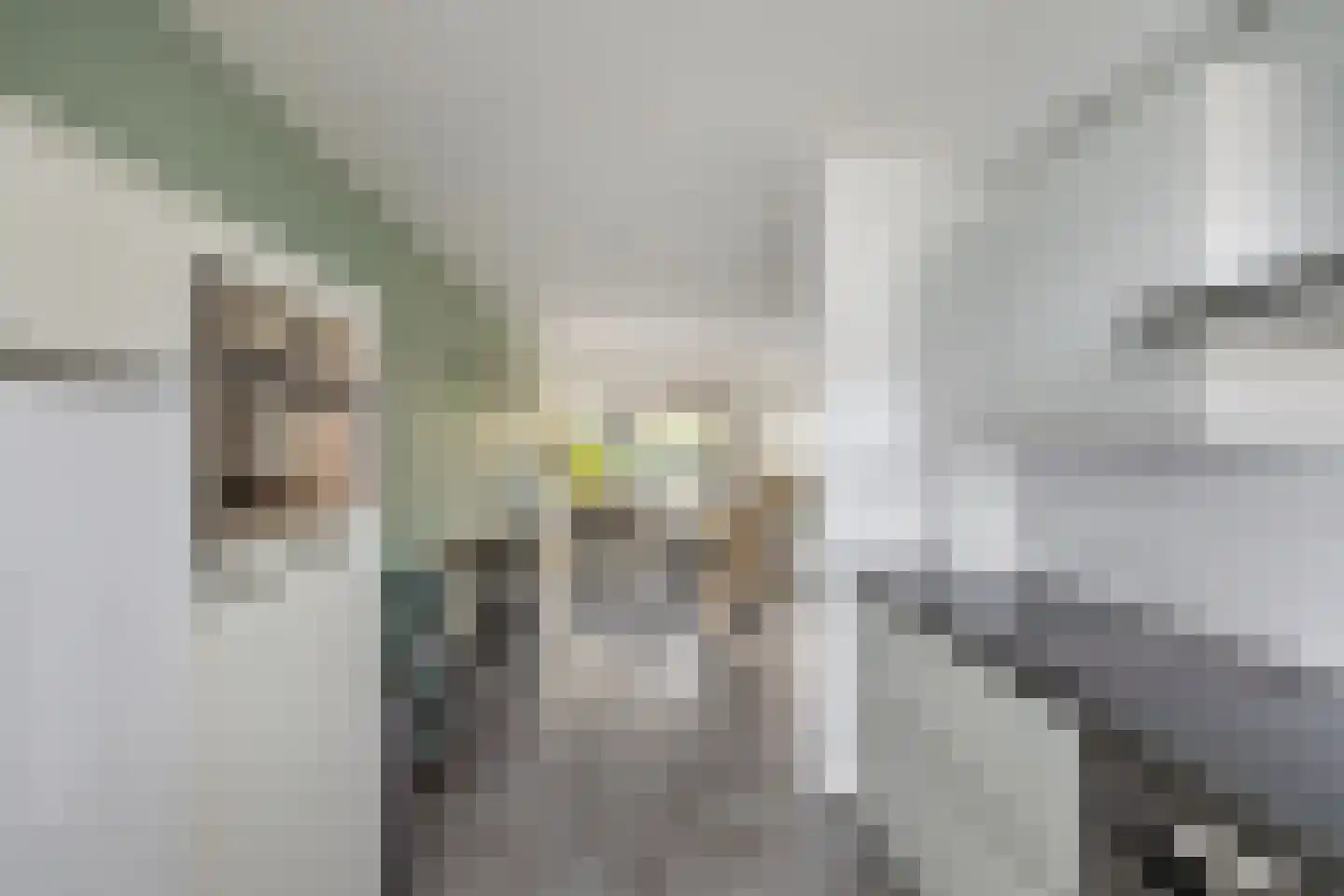 Geerstuk 3 Delfzijl thumbnail 24