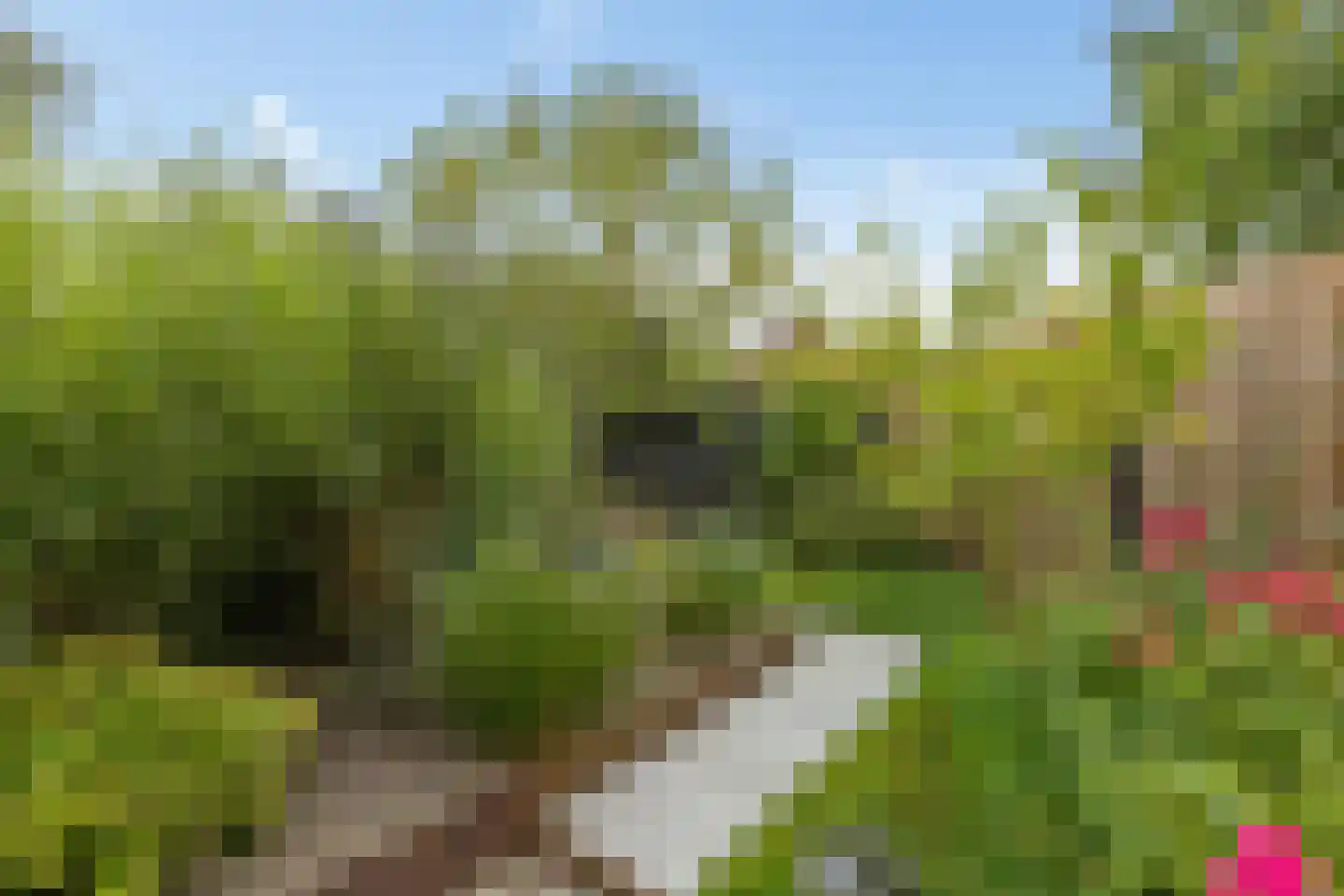 Geerstuk 3 Delfzijl thumbnail 48