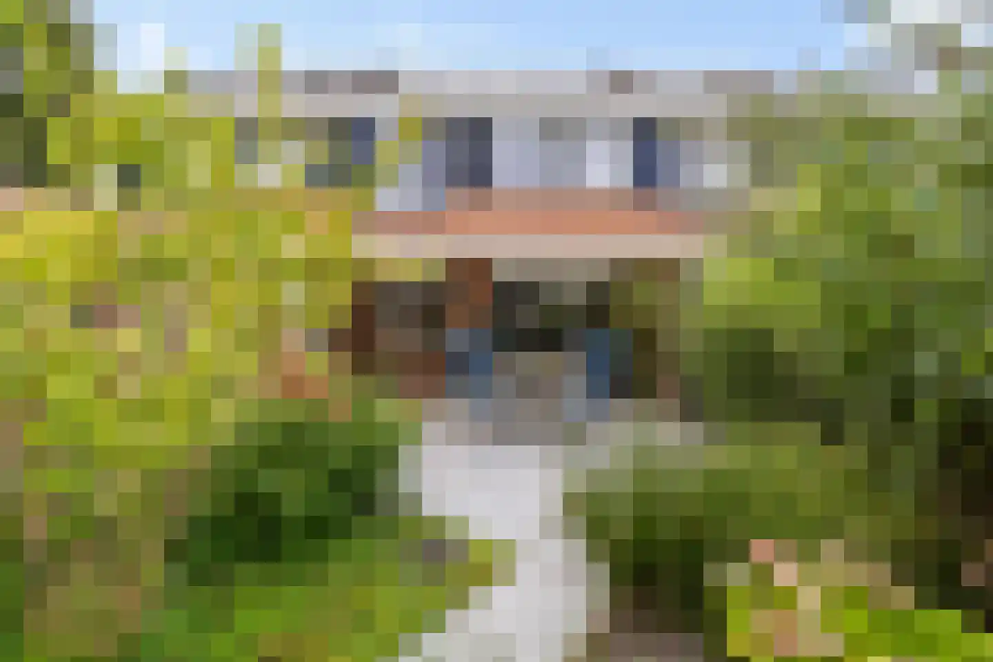 Geerstuk 3 Delfzijl thumbnail 49