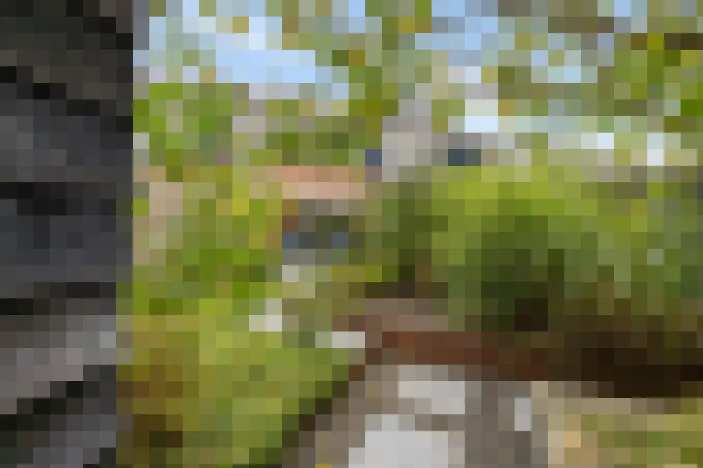 Geerstuk 3 Delfzijl thumbnail 50