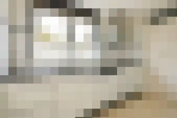 Geert Grootelaan 2 B Vlaardingen thumbnail 10