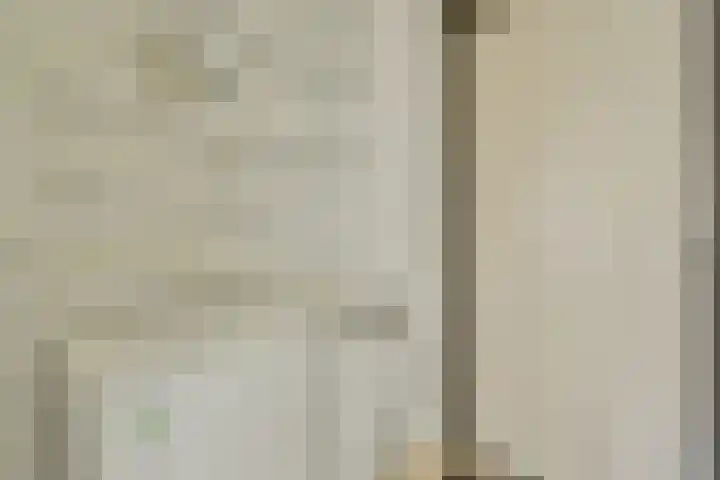 Geert Grootelaan 2 B Vlaardingen thumbnail 12