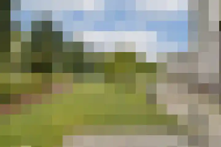 Geert Grootelaan 2 B Vlaardingen thumbnail 13