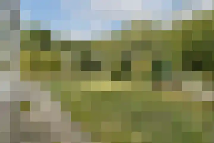 Geert Grootelaan 2 B Vlaardingen thumbnail 14