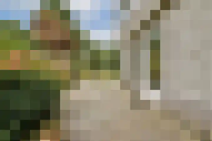Geert Grootelaan 2 B Vlaardingen thumbnail 15