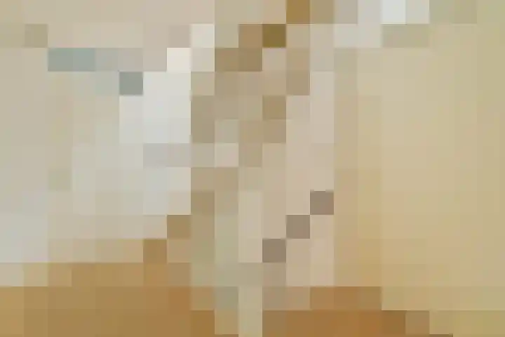 Geert Grootelaan 2 B Vlaardingen thumbnail 16