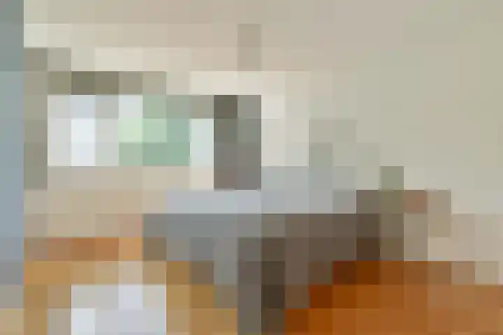 Geert Grootelaan 2 B Vlaardingen thumbnail 17