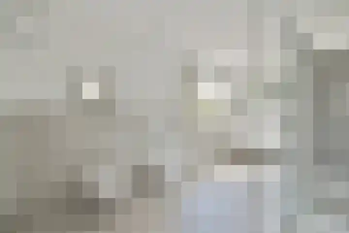 Geert Grootelaan 2 B Vlaardingen thumbnail 19