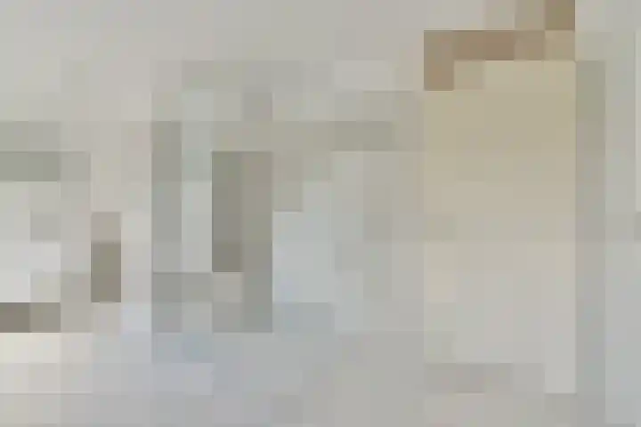 Geert Grootelaan 2 B Vlaardingen thumbnail 20