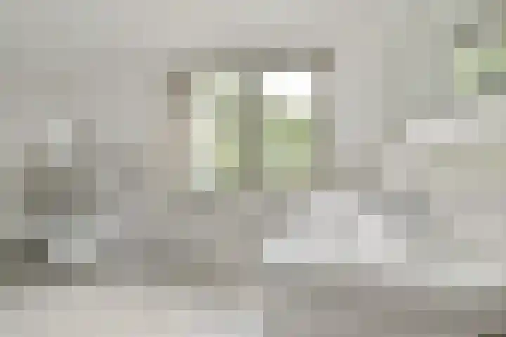Geert Grootelaan 2 B Vlaardingen thumbnail 21