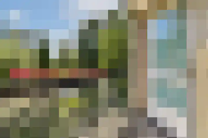 Geert Grootelaan 2 B Vlaardingen thumbnail 24