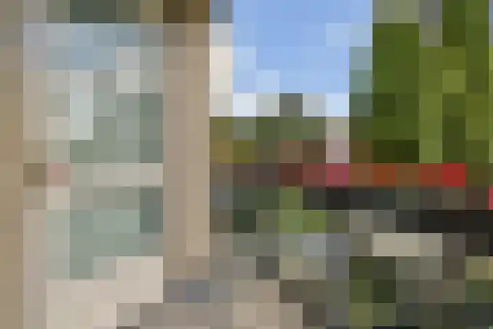 Geert Grootelaan 2 B Vlaardingen thumbnail 25