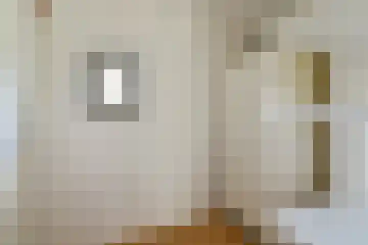 Geert Grootelaan 2 B Vlaardingen thumbnail 28