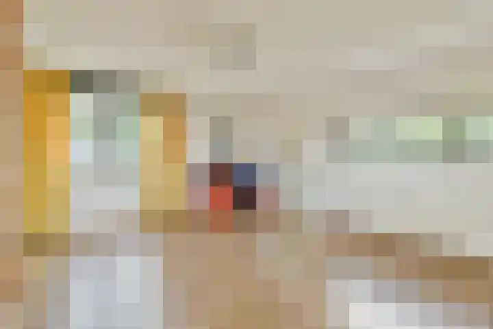 Geert Grootelaan 2 B Vlaardingen thumbnail 29