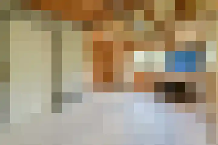 Geert Grootelaan 2 B Vlaardingen thumbnail 35