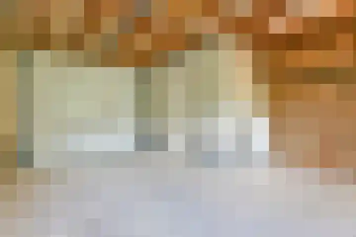 Geert Grootelaan 2 B Vlaardingen thumbnail 36