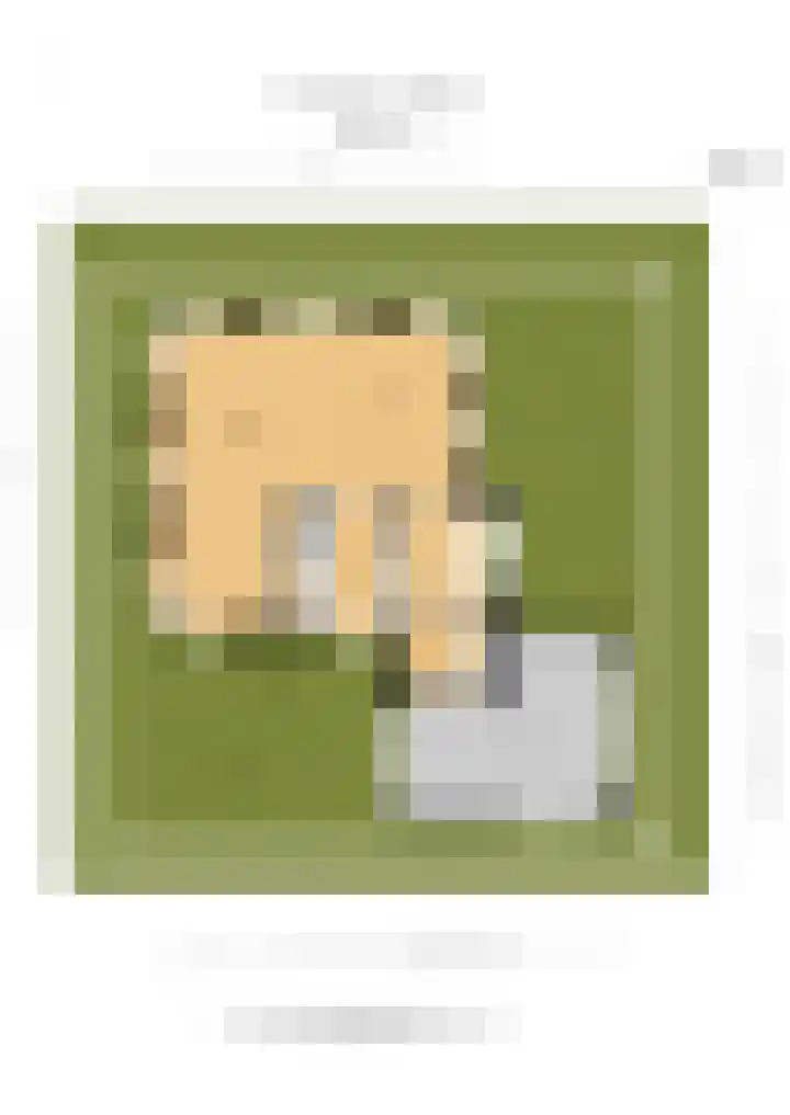 Geert Grootelaan 2 B Vlaardingen thumbnail 40