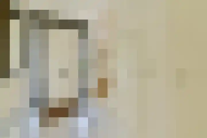 Geert Grootelaan 2 B Vlaardingen thumbnail 5