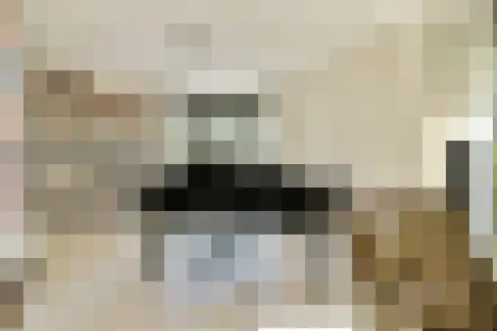 Geert Grootelaan 2 B Vlaardingen thumbnail 8