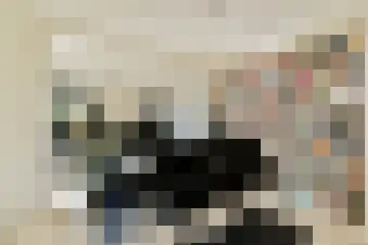 Geert Grootelaan 2 B Vlaardingen thumbnail 9