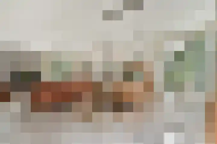 Geert Grootelaan 2 C Vlaardingen thumbnail 11