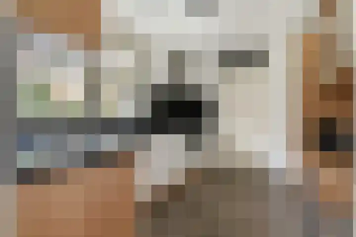 Geert Grootelaan 2 C Vlaardingen thumbnail 12