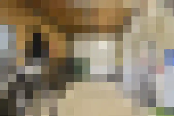 Geert Grootelaan 2 C Vlaardingen thumbnail 14