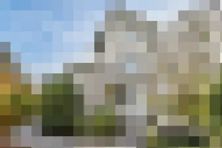 Geert Grootelaan 2 C Vlaardingen thumbnail 15