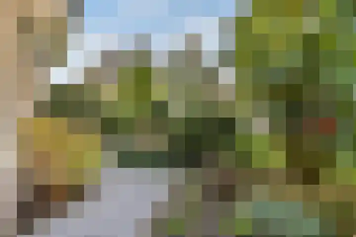 Geert Grootelaan 2 C Vlaardingen thumbnail 16