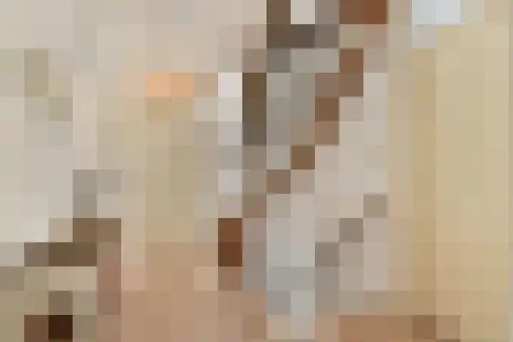 Geert Grootelaan 2 C Vlaardingen thumbnail 17