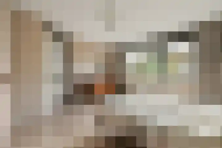 Geert Grootelaan 2 C Vlaardingen thumbnail 18