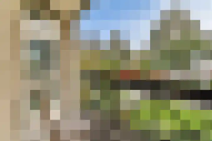 Geert Grootelaan 2 C Vlaardingen thumbnail 20