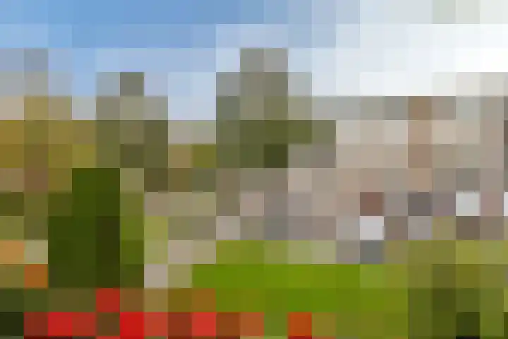 Geert Grootelaan 2 C Vlaardingen thumbnail 21