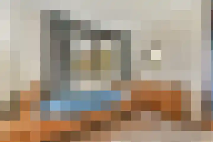 Geert Grootelaan 2 C Vlaardingen thumbnail 23