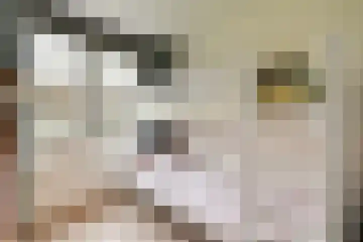 Geert Grootelaan 2 C Vlaardingen thumbnail 25