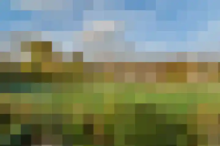 Geert Grootelaan 2 C Vlaardingen thumbnail 36