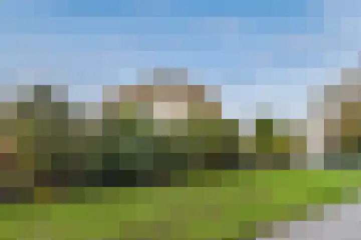 Geert Grootelaan 2 C Vlaardingen thumbnail 37