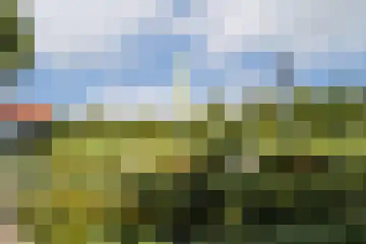 Geert Grootelaan 2 C Vlaardingen thumbnail 39