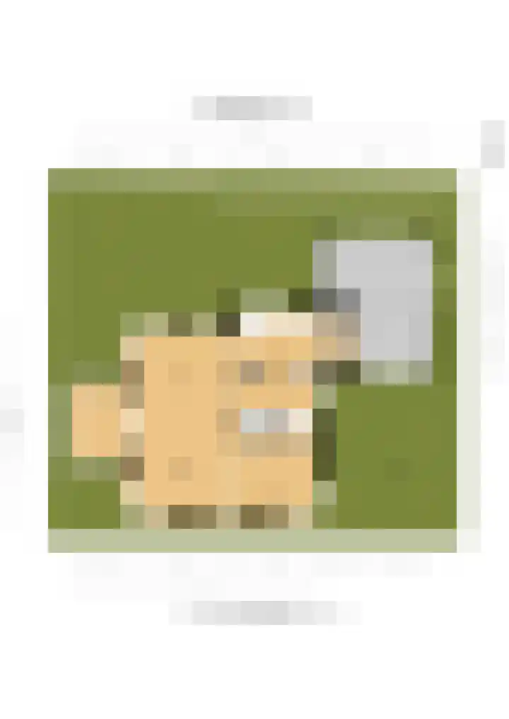 Geert Grootelaan 2 C Vlaardingen thumbnail 43