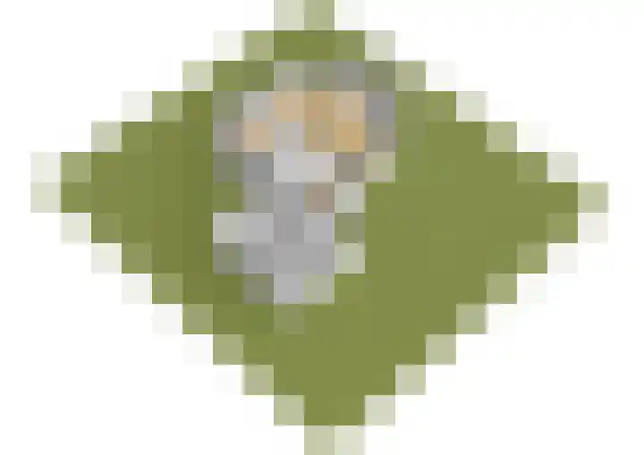 Geert Grootelaan 2 C Vlaardingen thumbnail 46