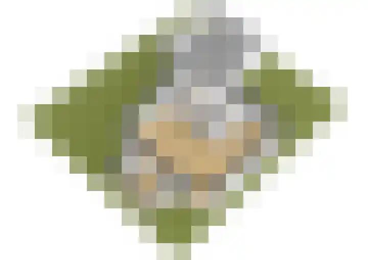 Geert Grootelaan 2 C Vlaardingen thumbnail 47
