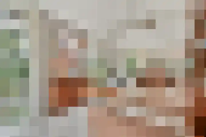 Geert Grootelaan 2 C Vlaardingen thumbnail 8