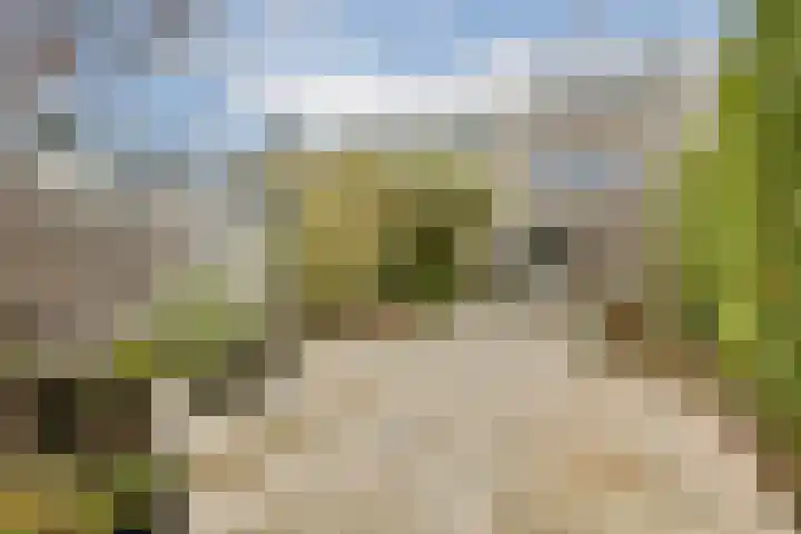 Geert Grootelaan 20 Vlaardingen thumbnail 11