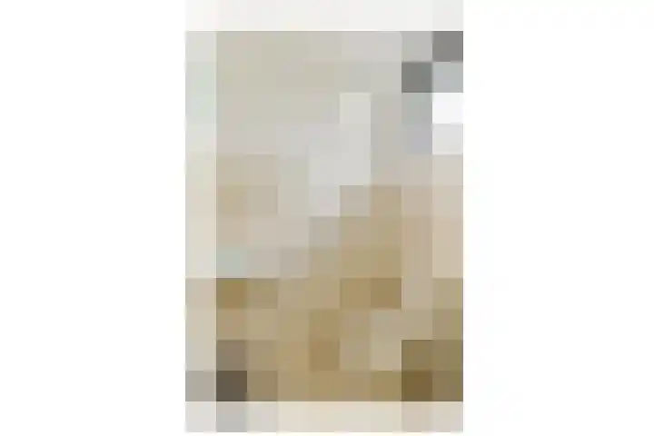 Geert Grootelaan 20 Vlaardingen thumbnail 12